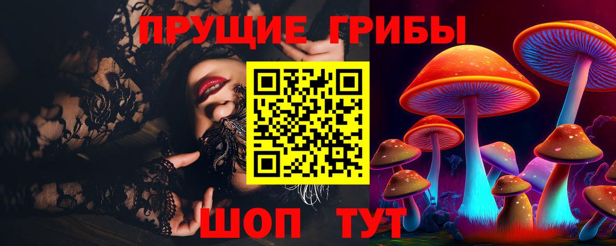 Галлюциногенные грибы Psilocybine cubensis Норильск