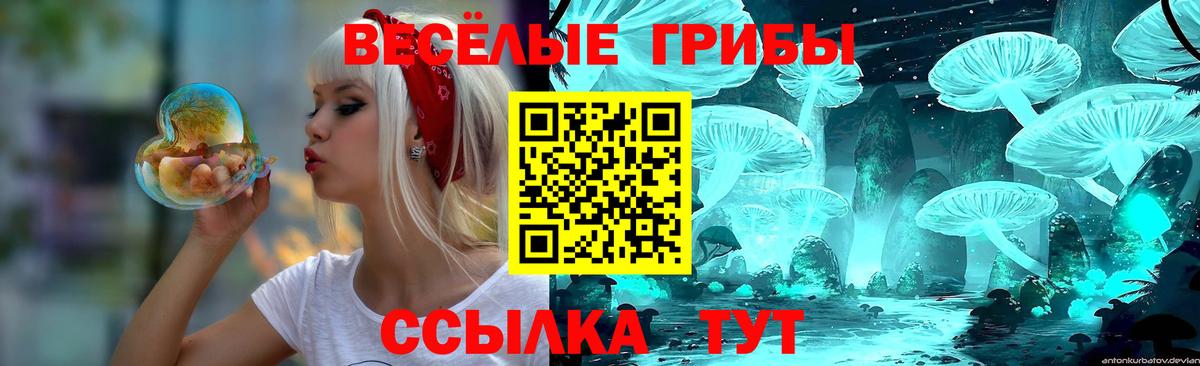 Псилоцибиновые грибы Psilocybine cubensis  Псилоцибиновые грибы мицелий  Вход с VPN  Норильск 